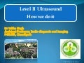 Level II usg