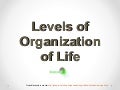 Levels of organization of life - 