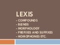 Lexis1