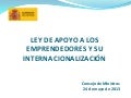 Ley emprendedores 2013
