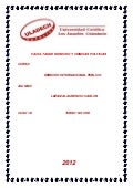 Lezama laurencio carlos   informe .dº internacional.p