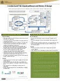 Livestock and Fish impact pathways and theory of change