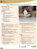 India smallholder dairy value chain development