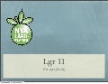 Lgr 11   - ett nytt försök