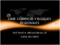 Libre comercio y bloques regionales taller 3