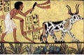 Life in ancient Egypt