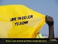 Life In Color Yellow (Cmp)