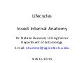 Lifecycles And Internal Anatomy Hummel
