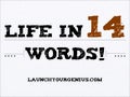Life in 14 words