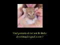 Liger