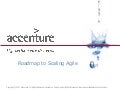 Lightning talk Accenture