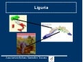 Liguria Vini e Vitigni