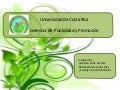 Limón centro