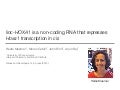 linc-HOXA1 is a non-coding RNA that represses Hoxa1 in cis