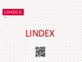 Lindexistä atk esitys powerpoint 2012