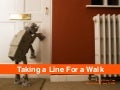 Taking A Line For A Walk