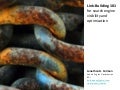 An Introduction to SEO Link-Building Concepts