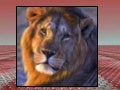 LION  PAINTINGS  Oroszlán festmények