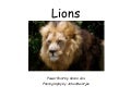 Lions