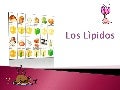 Lipidos