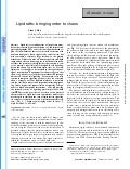 Lipid Rafts: bringing order to chaos