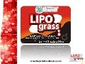 Lipo grass   bajar de peso - reducir talla - eliminar colesterol