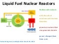 Liquid Fuel Nuclear Reactors
