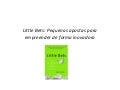 Little bets : Pequenas apostas para empreender de forma inovadora 