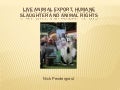 Live Animal Export, Humane Slaughter + Animal Rights