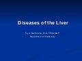 Liver (1)