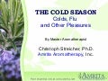 Cold & Flu - Amrita Aromatherapy