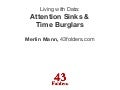Living with Data: Attention Sinks & Time Burglars
