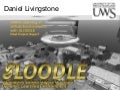 Where next for Virtual Worlds?