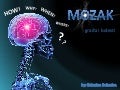 Ljudski mozak-Human brain-by Katarina Bukarica-Zadar-Croatia