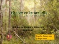 Llueve en la arcadia