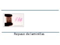 Láminas endocrino reproductor y digestivo