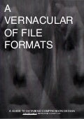 lofi Rosa Menkman - A Vernacular of File Formats