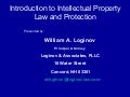 Law: Bill Loginov