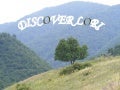 Discover Lori