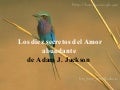 Los 10 Secretos Del Amor Abundante 2393