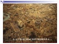 Los Romanos