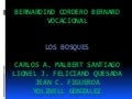 Los bosques