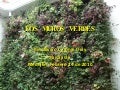 Los muros verdes
