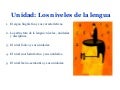 Los niveles de la lengua