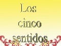 Los sentidos