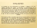 Los simuladores