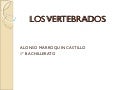 Los vertebrados