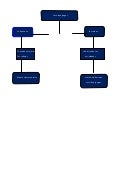 Los video juegos