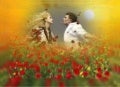Love Hurts_Nazaret
