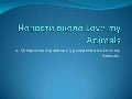 новости около Love my animals2